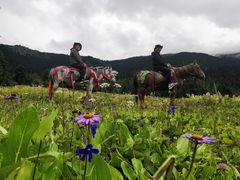 -鲁朗纳麦石锅鸡庄园