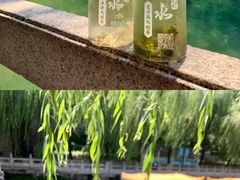 -济南大明湖景区