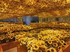 -天津梵高星空艺术馆(天河城旗舰店)