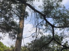 -东南悬空寺方广岩