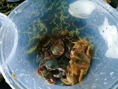 -东戴河风景区-止锚湾