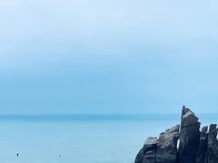 -南麂列岛
