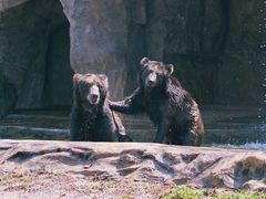 -海南热带野生动植物园