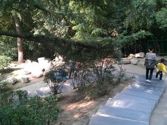 -西安市纺织公园