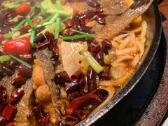 -老板恋上鱼(荣盛广场店)