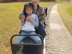 -上海都市菜园