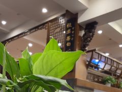 -一楼食业·美食人家