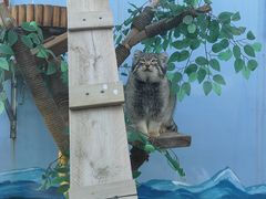 -青藏高原野生动物园
