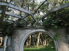 -杭州植物园