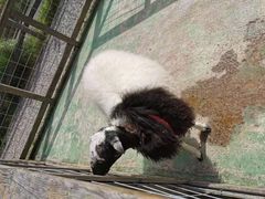 -前小桔亲子创意农场·草莓采摘·露营烧烤