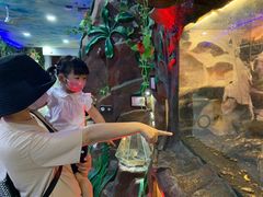 -上海大自然野生昆虫馆(东方明珠·爬宠昆虫探索中心)