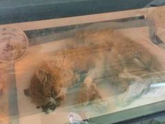 android_upload_pic-盛京一禾