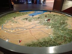 -红山国家森林公园