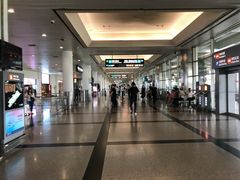 -厦门高崎国际机场-T3航站楼