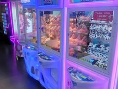 -PAWTOY爪e玩偶店(天兴罗斯福店)
