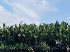 -东寨港红树林旅游区