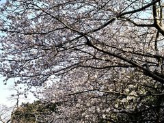 -昆山城市公园