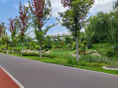 -漳泽水库水上公园