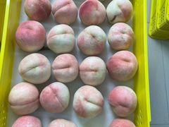 -老袁家蜜桃农场·阳山水蜜桃