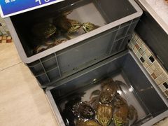 -双井轩(双井店)