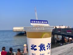 -北戴河碧螺塔海上酒吧公园