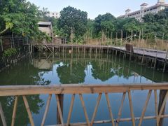 -邹记·美食(斗门店)