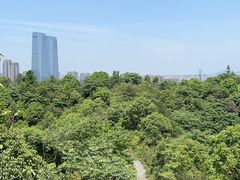 -桃花岭景区