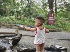 -成都市活水公园