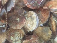 -宾朋海鲜特色美食餐厅·纯手工鲅鱼水饺(兴海路店)