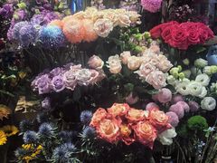 -谷莠子花艺气球派对·绿植造景·花艺沙龙(东海缤纷天地店)