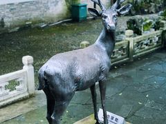 -浙江省博物馆(孤山馆区)