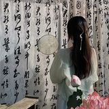 沈阳新中式下午茶拍照| 人望山 鱼窥荷🪷