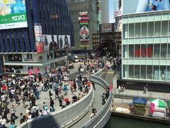 -蟹道乐(道顿堀本店)