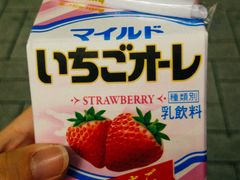 -秋叶原电器街