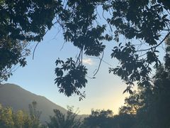 -梧桐山风景名胜区