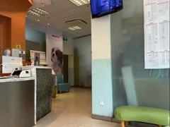 -瑞派申生动物医院·24H夜诊·国际动物医疗中心·骨外科(吴中路店)