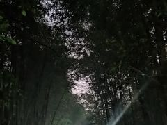 -敬亭山风景名胜区