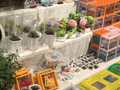 -伊藤洋华堂(温江店)