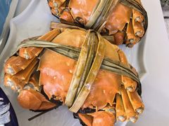 阳澄湖大闸蟹-水岸居湖景农家乐·阳澄湖大闸蟹