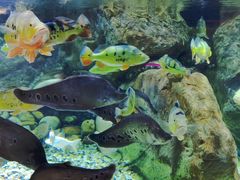 -多彩贵州城极地海洋世界