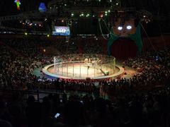 -俄罗斯国家大马戏团