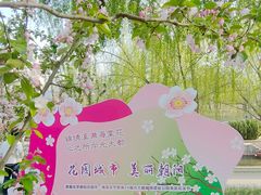 -海棠花溪(元大都城垣遗址公园)