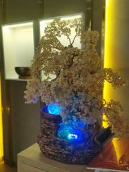 -栖SPA·ONDA ·海菲秀·皑皑科技美肤中心