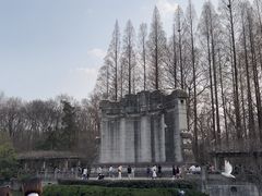 -音乐台