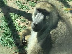 -新疆天山野生动物园