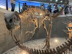 -国家自然博物馆