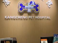 -康成宠物医院24H·CT·核磁共振