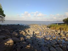 -吴淞炮台湾湿地森林公园烧烤区