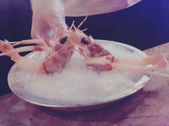-斯普汇生蚝牛排馆(中骏世界城店)