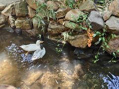 -竹泉村旅游度假区